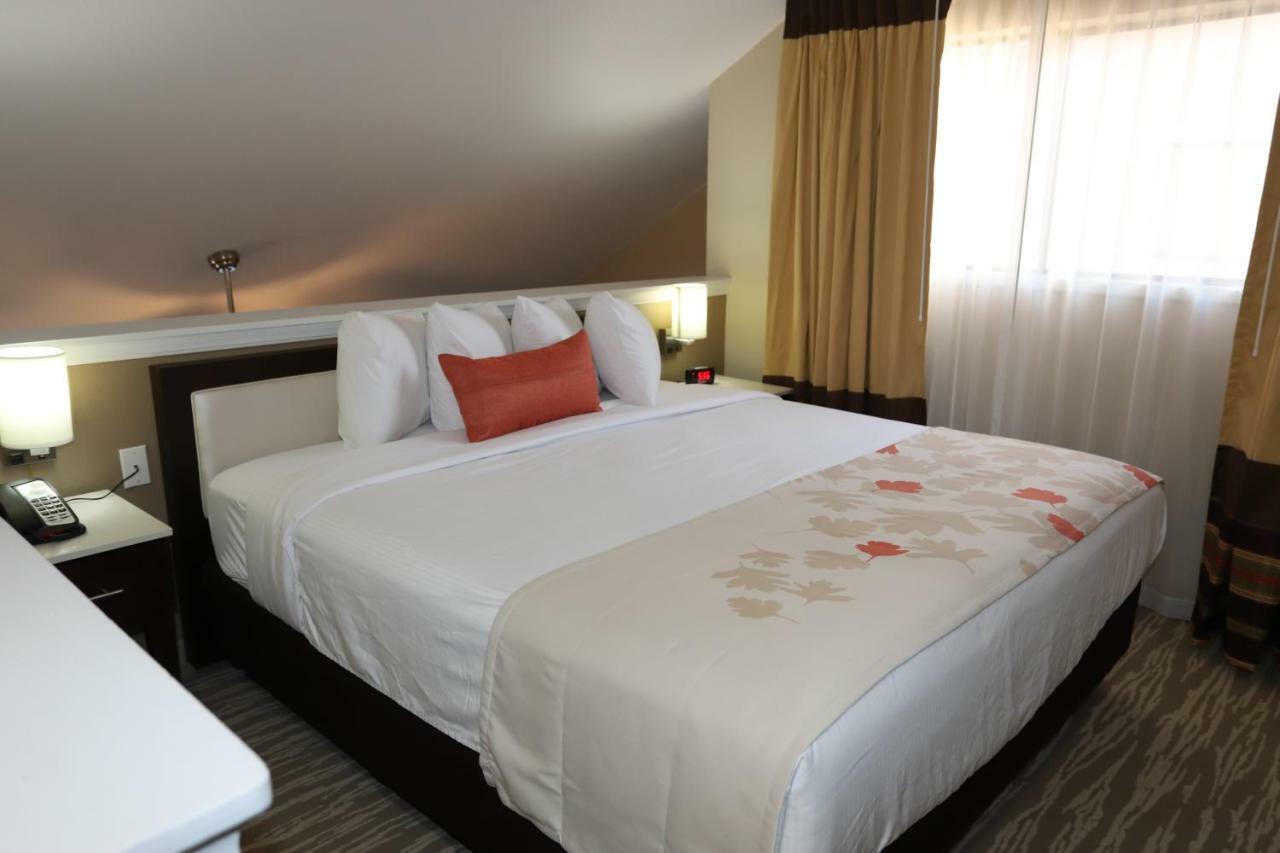 Hawthorn Suites By Wyndham Detroit Southfield Ngoại thất bức ảnh